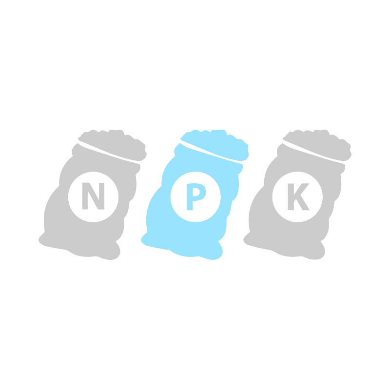 کود های NPK فسفر بالا