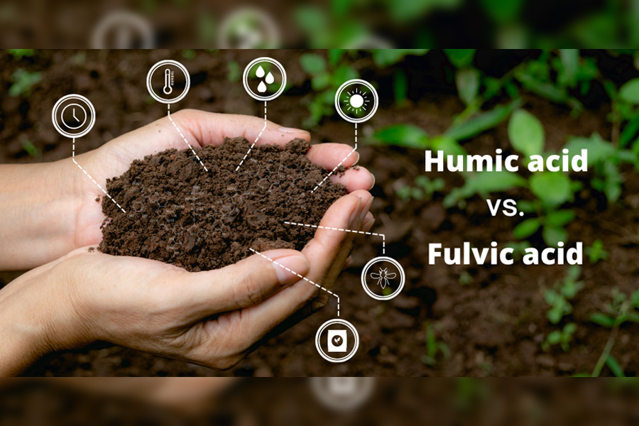humic fulvic